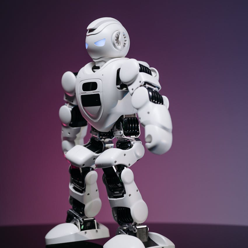 pexels-photo-8294648