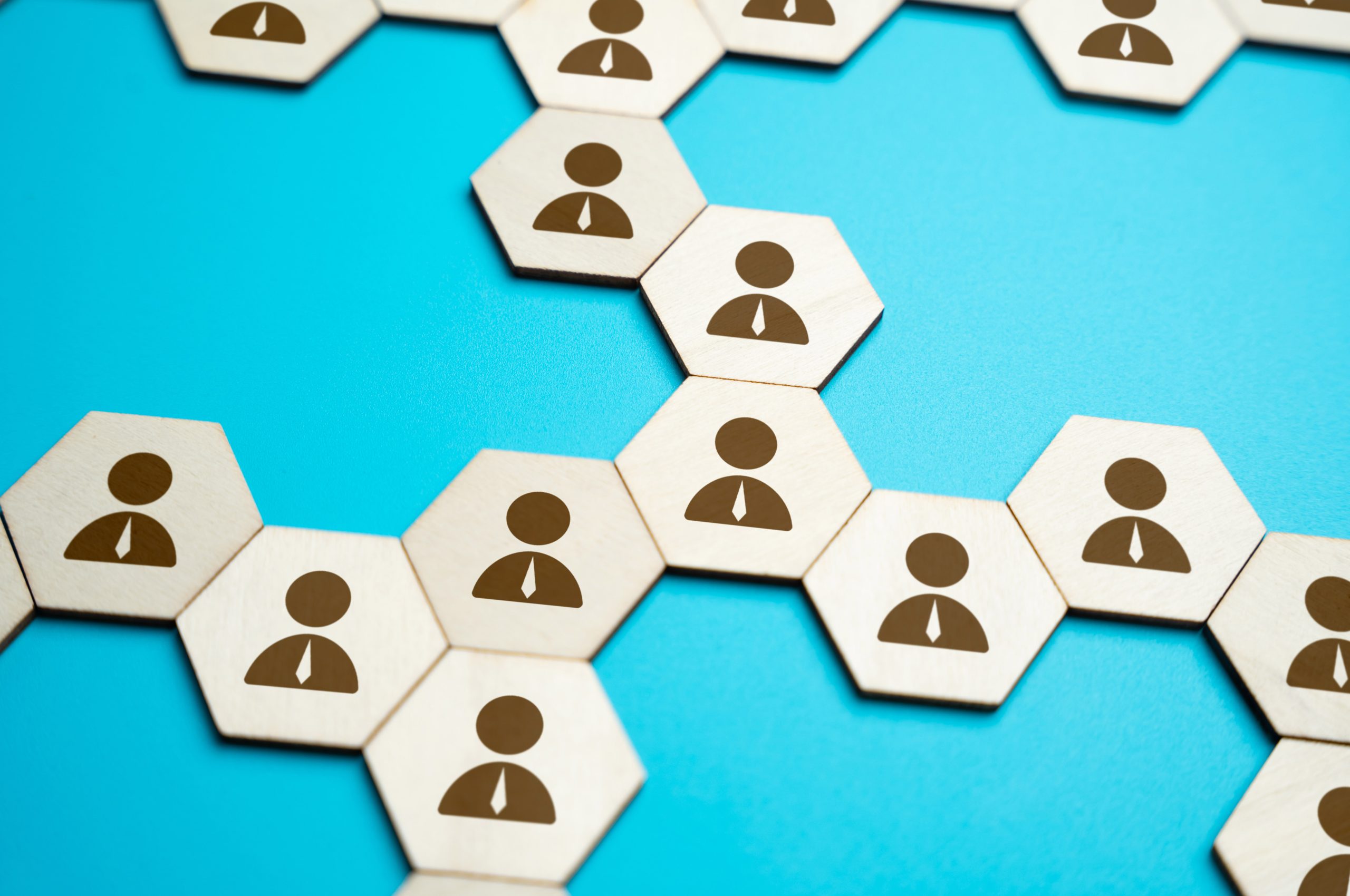 Business networking and cooperation. Working relationships between employees. Human resources and workforce.